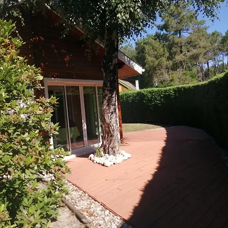 Maison Dans Bulle De Verdure *