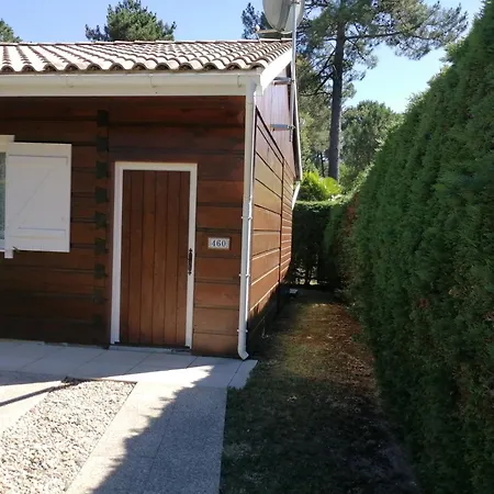 Maison Dans Bulle De Verdure *