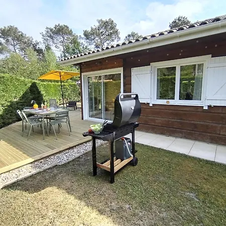 Maison Dans Bulle De Verdure *