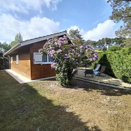 Maison Dans Bulle De Verdure Casa de Férias *