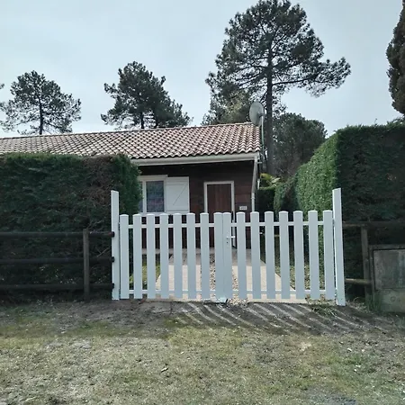 Maison Dans Bulle De Verdure *