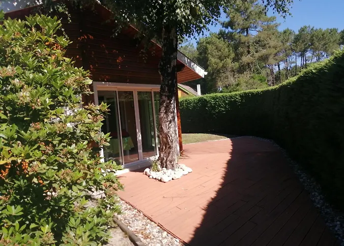 Maison Dans Bulle De Verdure *