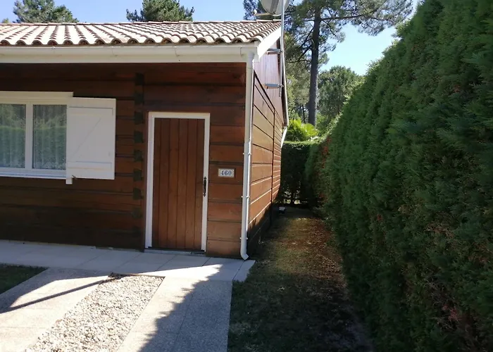 Maison Dans Bulle De Verdure *