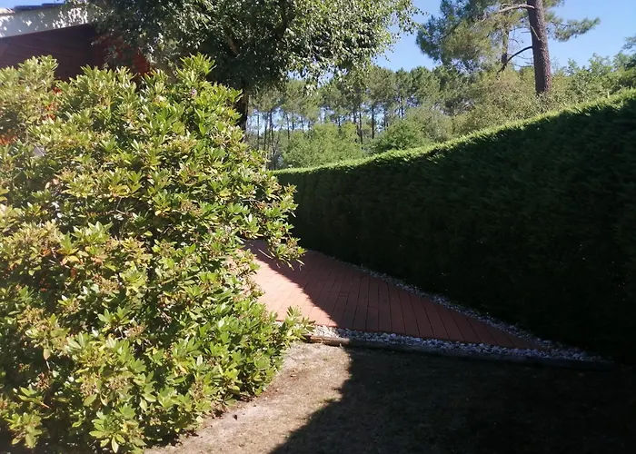 Casa vacanze Maison Dans Bulle De Verdure