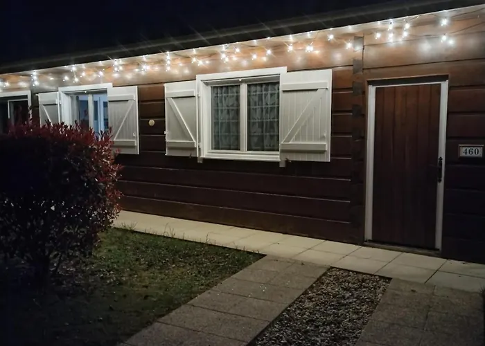 Maison Dans Bulle De Verdure